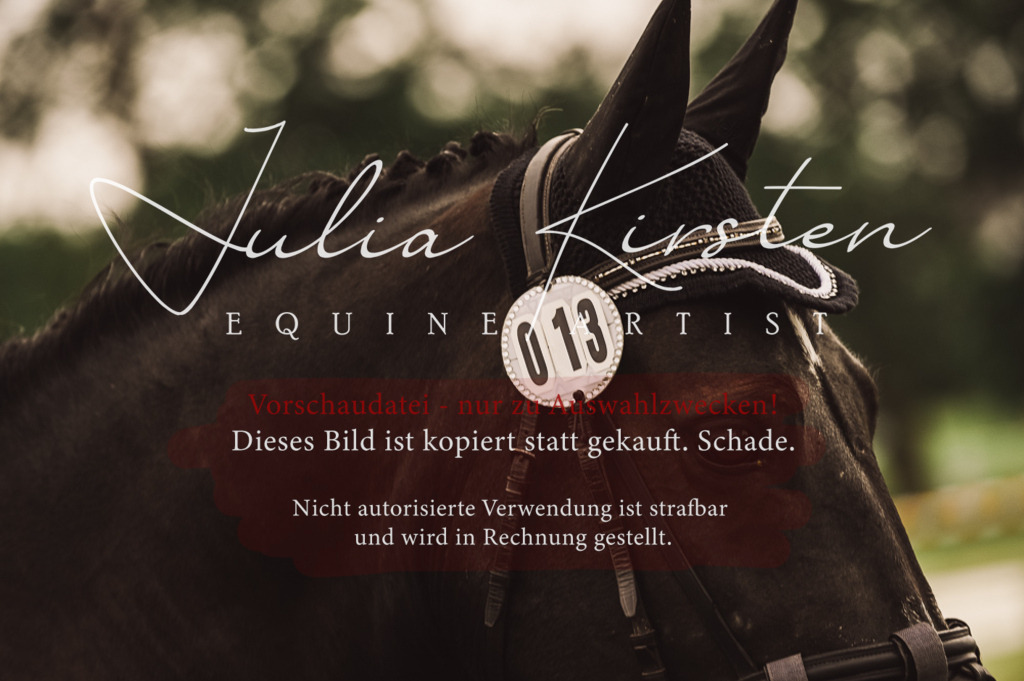 DSC_4984 | Pferde- und Turnierfotografie in Westsachsen. Pferdeportraits, Auftragszeichnungen und intuitive Kunst.