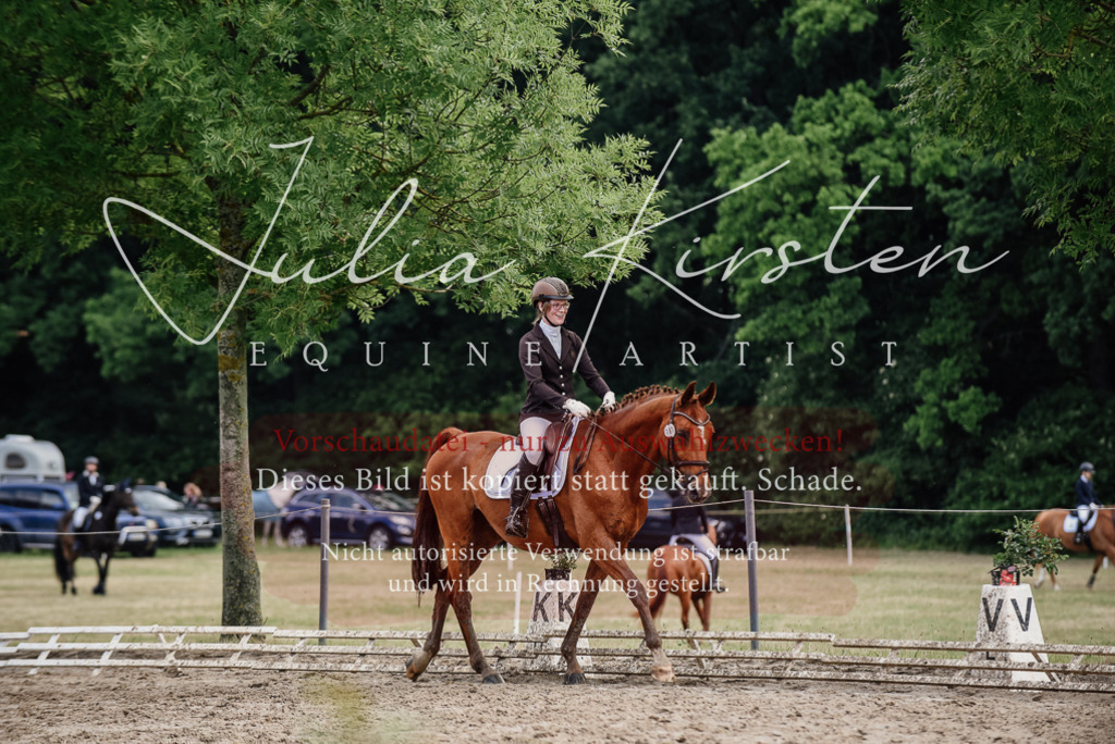 DSC_9678 | Pferde- und Turnierfotografie in Westsachsen. Pferdeportraits, Auftragszeichnungen und intuitive Kunst.