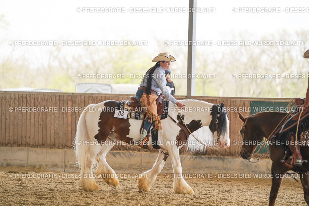 DSC02733 | Pferdegrafie