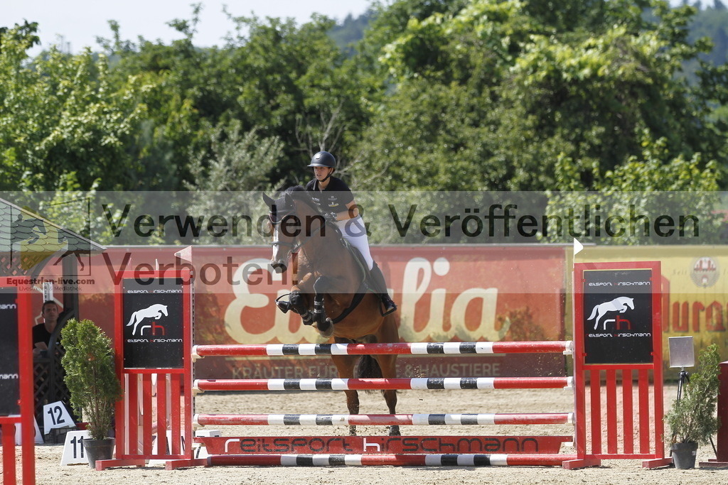 _MG_5950 | equestrian-live-com