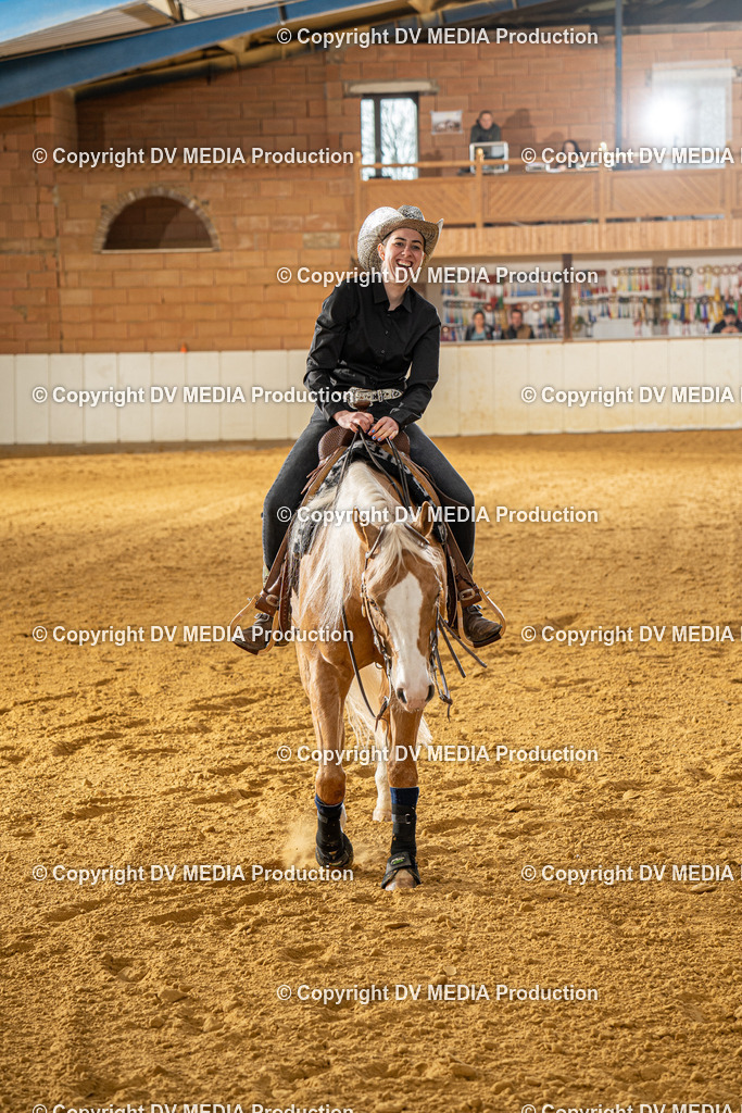 MIT00688 | dv-media-shop - Realisiert mit Pictrs.com