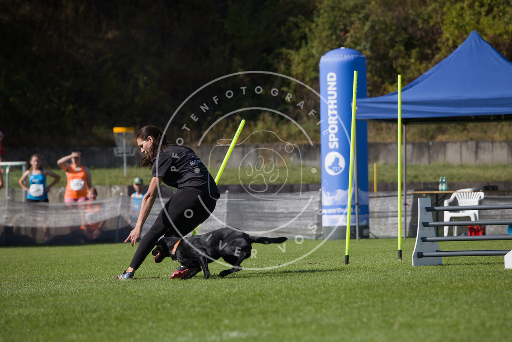 0L8A8275 | Hundefotografie, Tierfotograf, Pfotenfotografie, Fotoshooting Hund, Hunde Portrait, Hundesport, Hundeportraits, Heideshooting, Hunde, Sportfotograf, Hundefotograf, Turnierhundsport, THS,  - Realisiert mit Pictrs.com