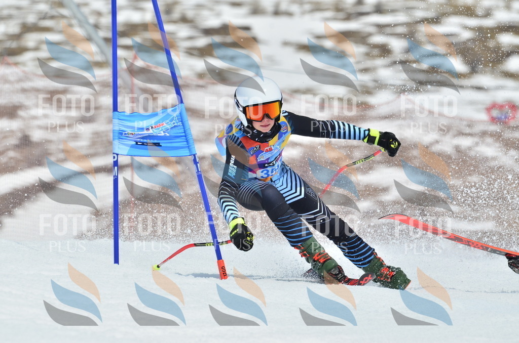 _ELE2754 | holidayphoto