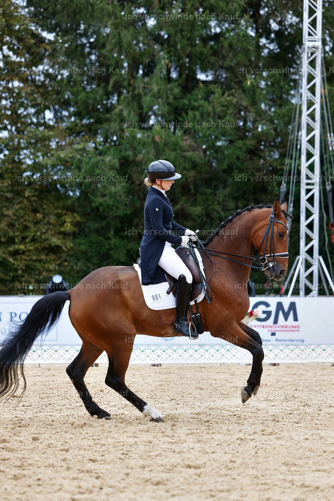 6-001-AMATUER-DRESSUR S_  -StoibPH-3554 | working equitationturnier fotograf videograf stoibphotography marixx film working equitation deutschland reitsport turnierfotografie eventfotografie equestrian events
