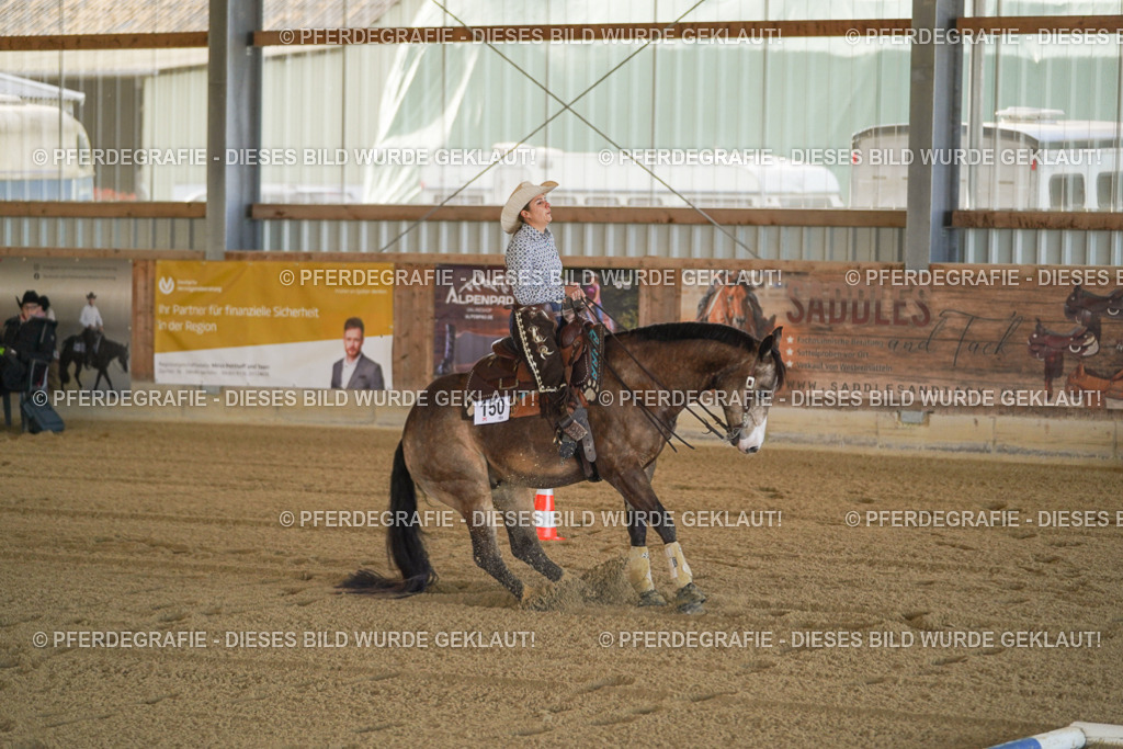 DSC00179 | Pferdegrafie