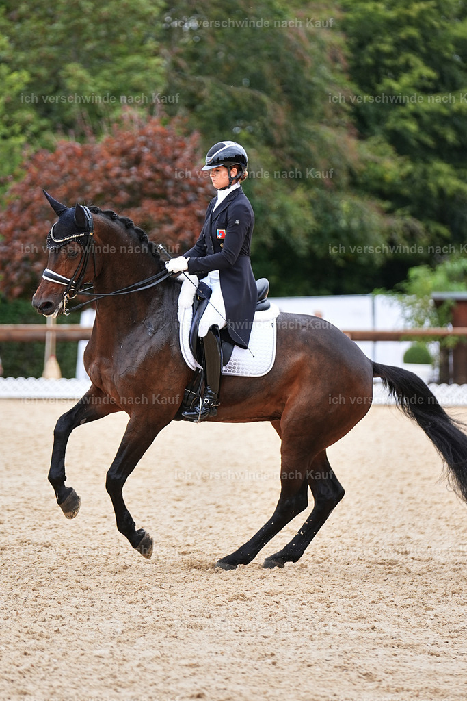 11-110-Dressur S___-Marixx-1541 | working equitationturnier fotograf videograf stoibphotography marixx film working equitation deutschland reitsport turnierfotografie eventfotografie equestrian events