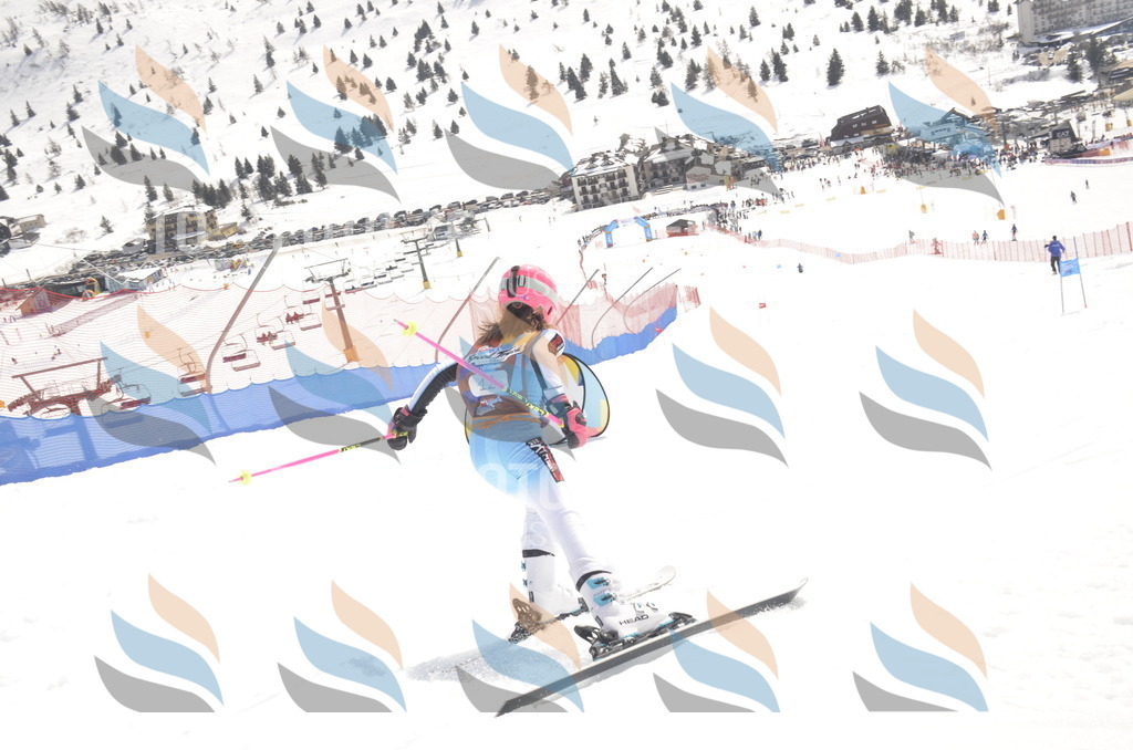 _ELE8587 | holidayphoto