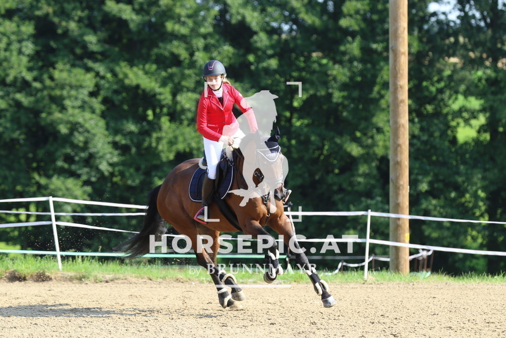 7V2A2612 | Willkommen bei Brunnmayr - Design & Fotografie – Ihrem Spezialisten für Reitturniere und Pferdeveranstaltungen in Oberösterreich, Salzburg und Bayern! Seit über 17 Jahren sind wir leidenschaftlich dabei.