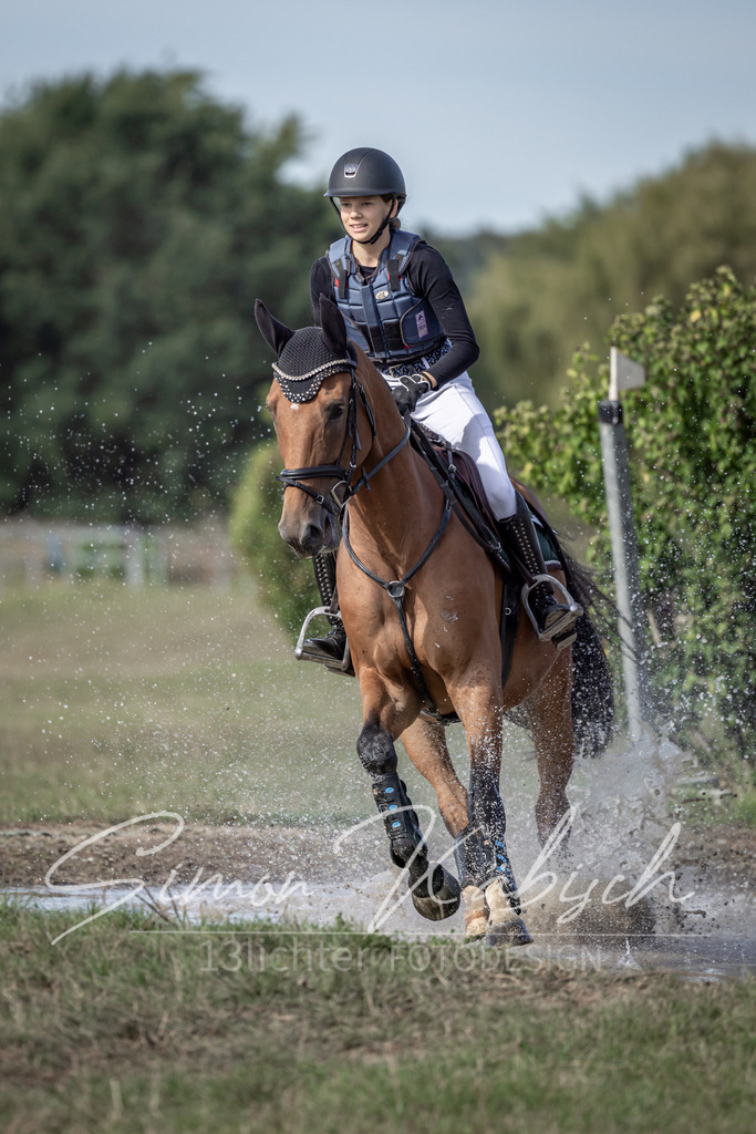 20250907-_3LI9320 | Tierfotografie Pferde, Hunde, Katzen, Haustiere.
Turnierfotografie Reitturniere, Reiten, Springreiten, Dressur in Hanau, dem Main-Kinzig-Kreis und dem Rhein-Main- Gebiet um Frankfurt