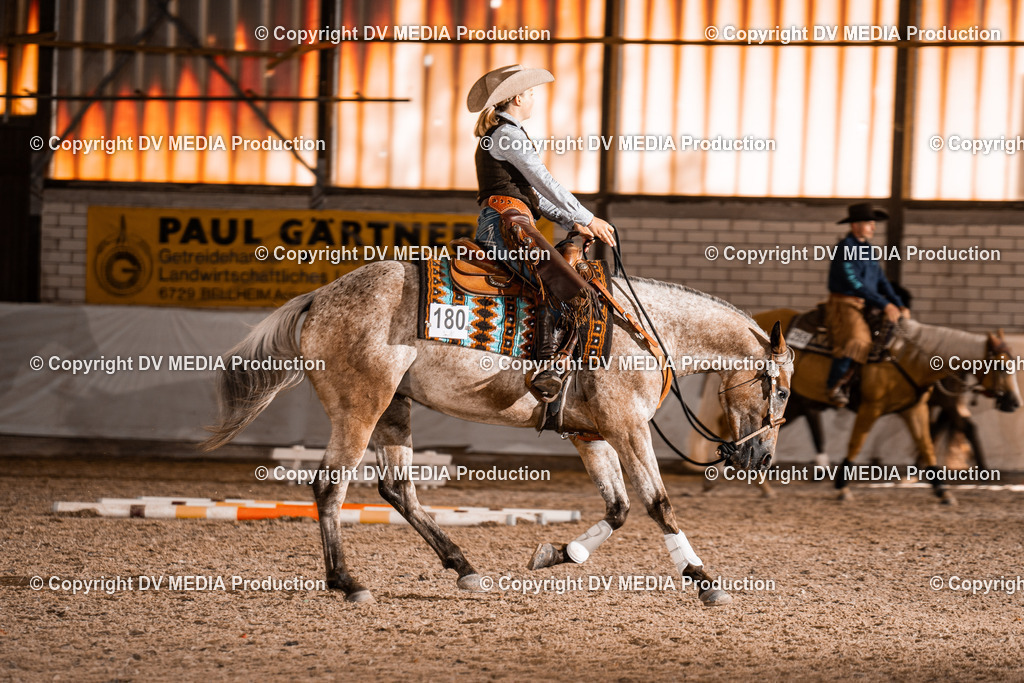 ZH300194 | dv-media-shop - Realisiert mit Pictrs.com