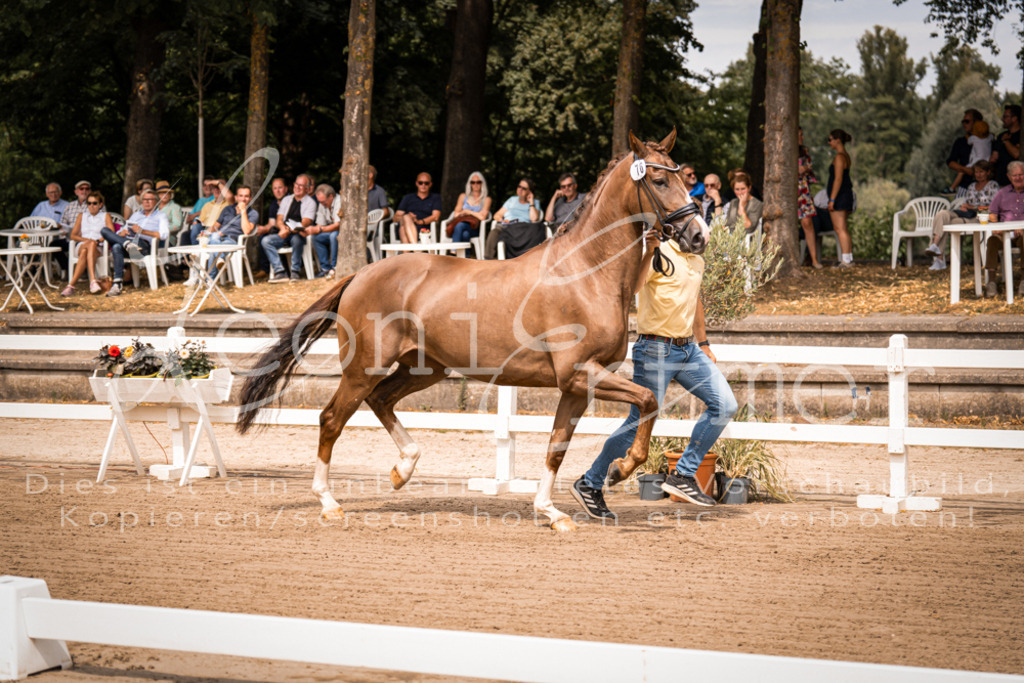 4.Fr00057 | Leoni Ertmer Photography - Realisiert mit Pictrs.com