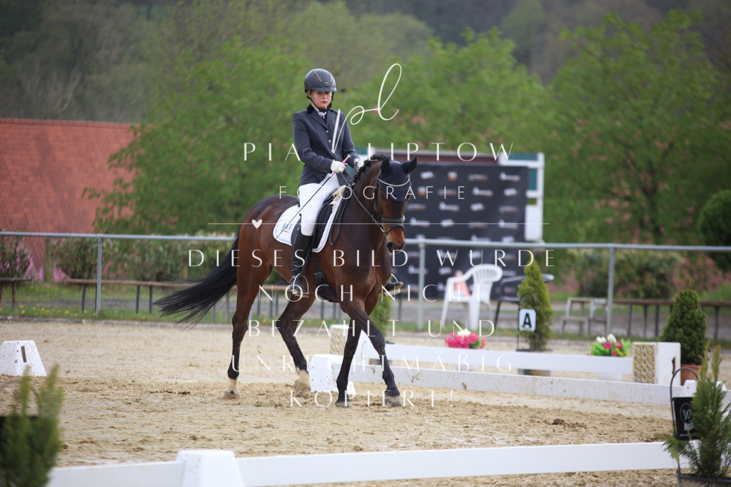 IMGT7264 | pl-fotografie