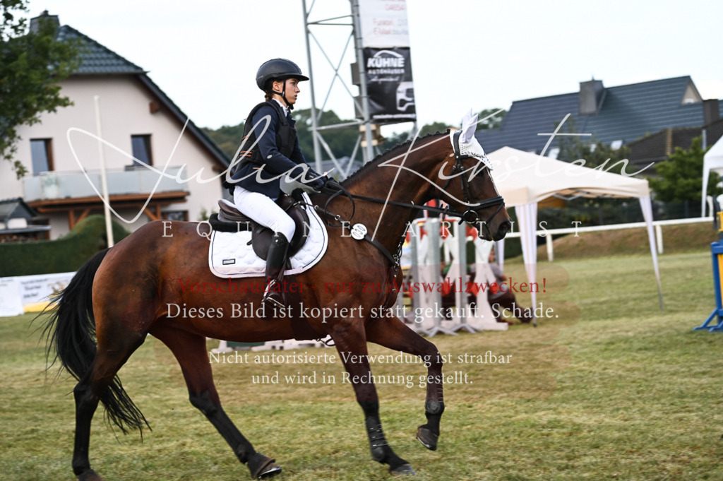 DSC_5641 | Pferde- und Turnierfotografie in Westsachsen. Pferdeportraits, Auftragszeichnungen und intuitive Kunst.
