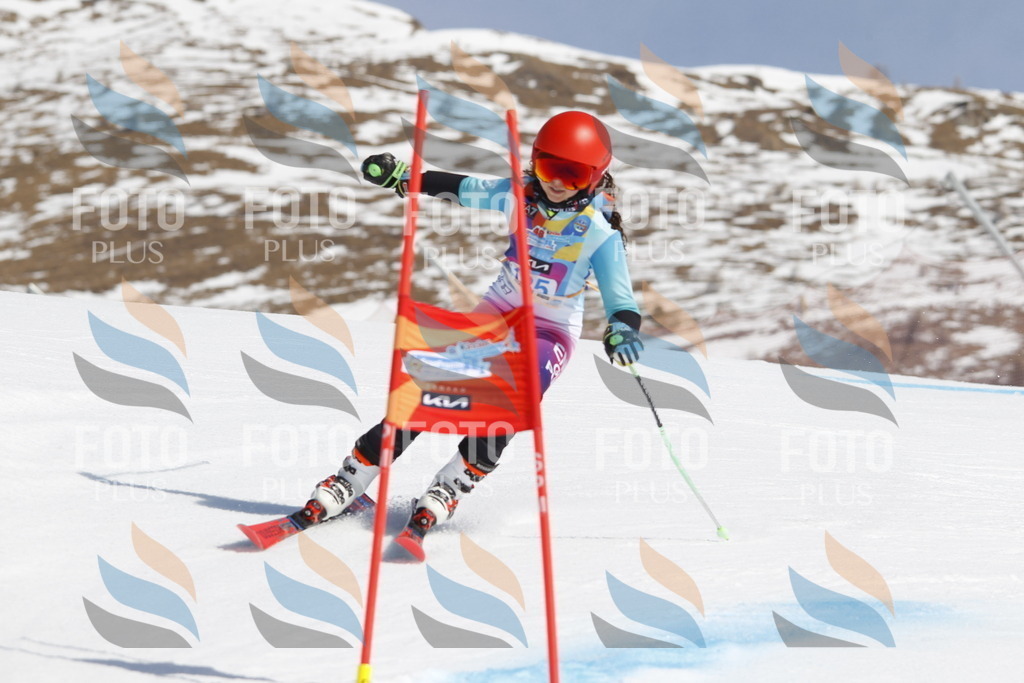 _U3G0959 | holidayphoto