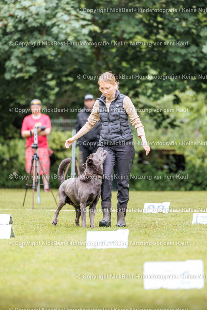 RO-Blumenthal-2026-Nickbest-Hundefotografie-1069 | Dein Hund! Dein Moment! Deine Erinnerungen! Hundefotografie in Bremen Blumenthal. Ich fange die besonderen Momente deines Vierbeiners ein – ob Indoor mit Blitzanlage oder in der freien Natur. Sicher dir dein Moment und dein Termin für eure Erinnerungen.