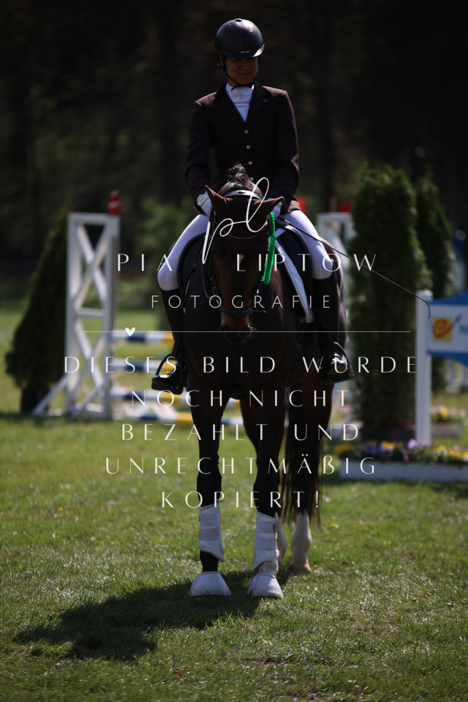 IMGT5554 | pl-fotografie