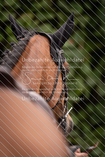 LR262_SD_01357 | saradresslerfotografie - Realisiert mit Pictrs.com