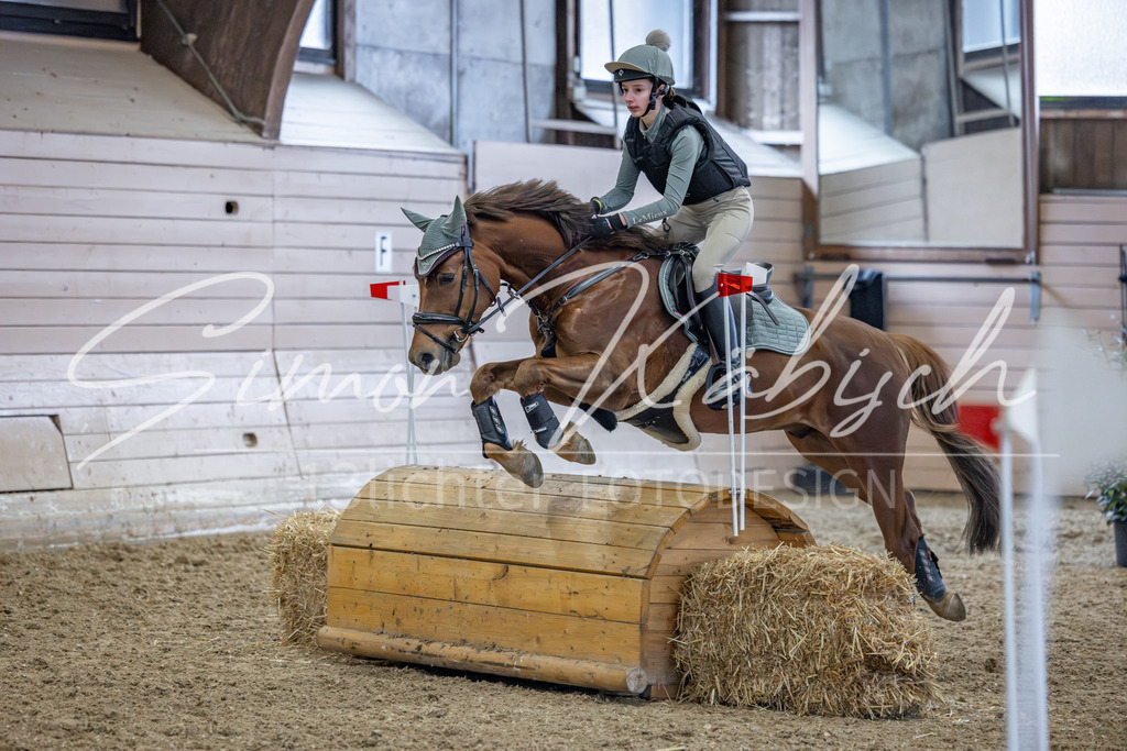20260221-_3LI9755 | Tierfotografie Pferde, Hunde, Katzen, Haustiere.
Turnierfotografie Reitturniere, Reiten, Springreiten, Dressur in Hanau, dem Main-Kinzig-Kreis und dem Rhein-Main- Gebiet um Frankfurt
