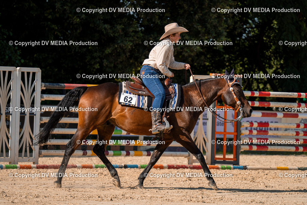 ZH100776 | dv-media-shop - Realisiert mit Pictrs.com