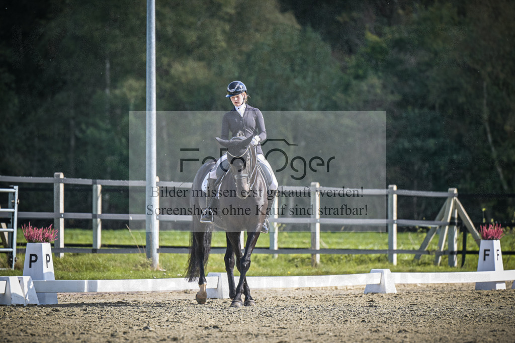 DOS_0309 | Entdecke hochwertige Reitturnierfotos von Foto Oger. Professionell, emotional und authentisch – jetzt Lieblingsmomente im Shop bestellen.Deutschlandweite Turnierfotografie. - Realisiert mit Pictrs.com