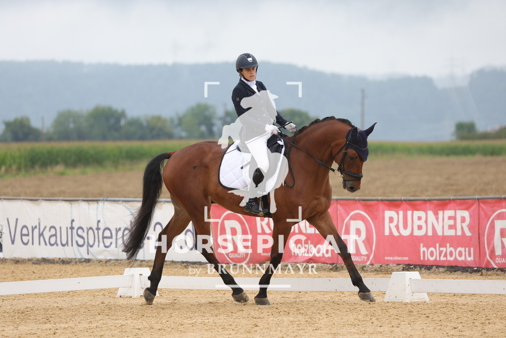 0P6A9716 | Willkommen bei Brunnmayr - Design & Fotografie – Ihrem Spezialisten für Reitturniere und Pferdeveranstaltungen in Oberösterreich, Salzburg und Bayern! Seit über 17 Jahren sind wir leidenschaftlich dabei.