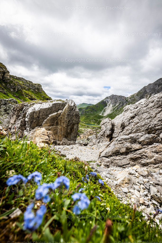 Fotos_Copyright_Chri_Fischbacher_Druck-470 | Bildershop Chri Fischbacher - Realisiert mit Pictrs.com