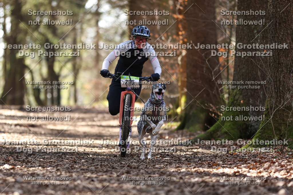 Dog Paparazzi - VCC26-1331 | Dog Paparazzi Jeanette Grottendiek Fotografie & Videografie - Realisiert mit Pictrs.com
