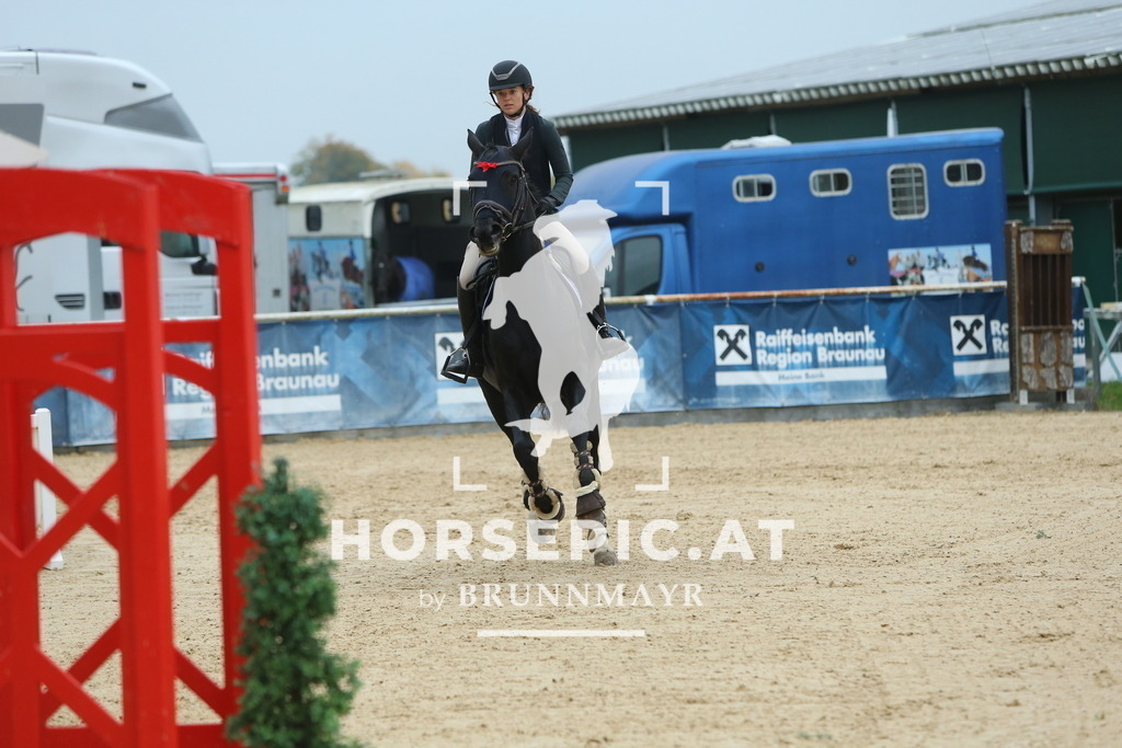 DL2Q4161 | Willkommen bei Brunnmayr - Design & Fotografie – Ihrem Spezialisten für Reitturniere und Pferdeveranstaltungen in Oberösterreich, Salzburg und Bayern! Seit über 17 Jahren sind wir leidenschaftlich dabei.