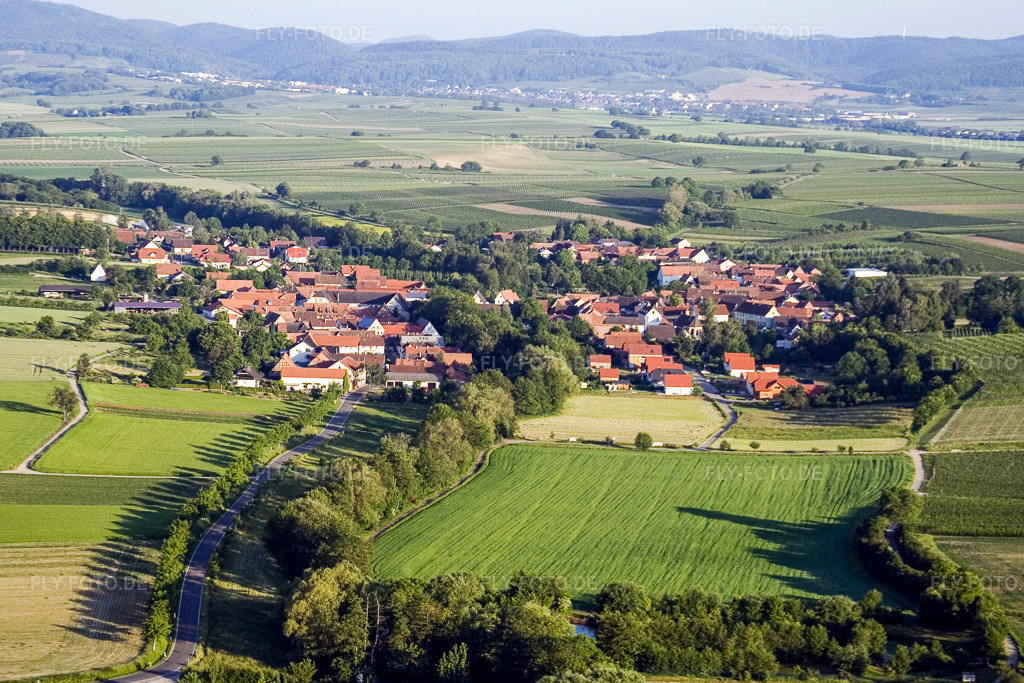 Luftbild: Dorf von Osten in Dierbach im Bundesland Rheinland-Pfalz in Deutschland. Foto: IMG_2696.jpg vom 11.06.2006 durch Werner Riehm/FLY-FOTO.de