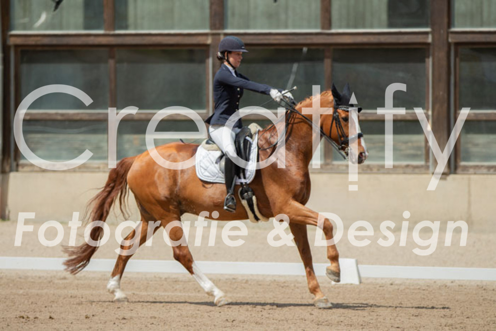 IMG_5727 | Creatify Fotografie