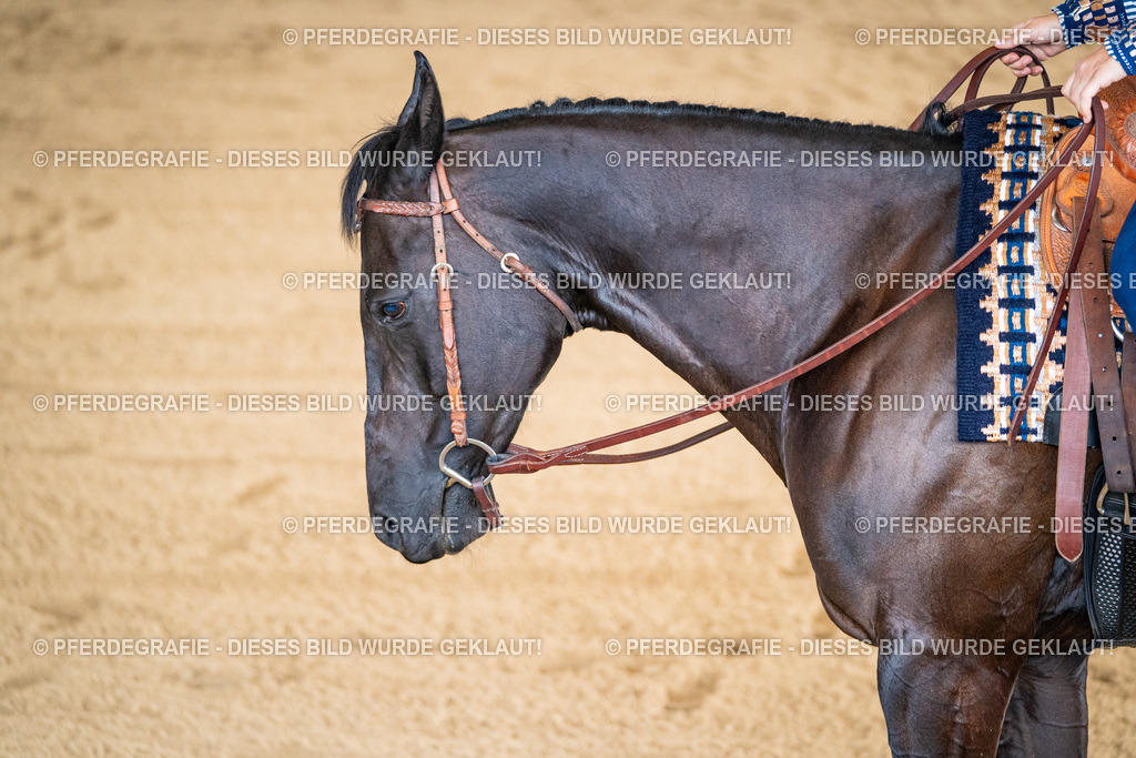 DSC01929 | Pferdegrafie