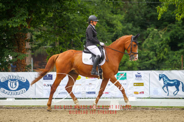 DKP41803 | Turniersportfotografie; Pferdefotografie; Dressurfotografie