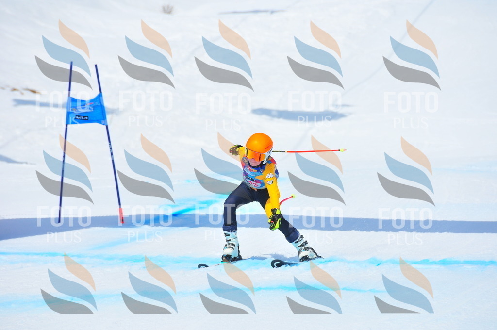 DSC_6829 | holidayphoto