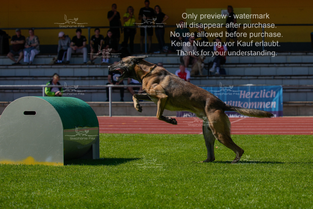 Sonntag_VK Hindernis (10 von 671) | stephaniefillaphotographie - Realisiert mit Pictrs.com