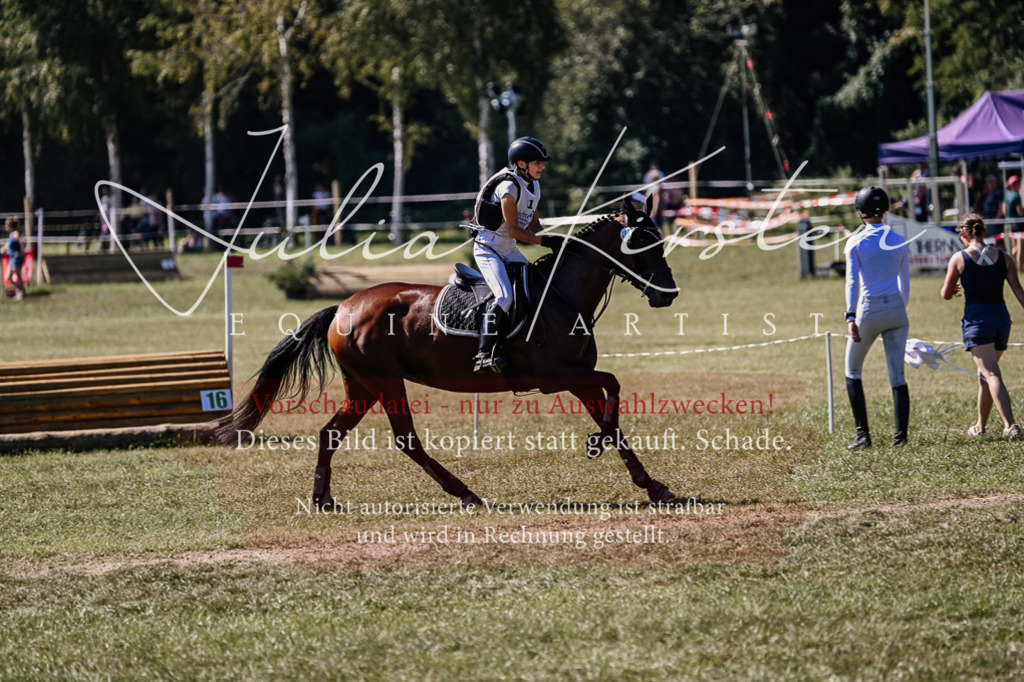 DSC_1745 | Pferde- und Turnierfotografie in Westsachsen. Pferdeportraits, Auftragszeichnungen und intuitive Kunst.