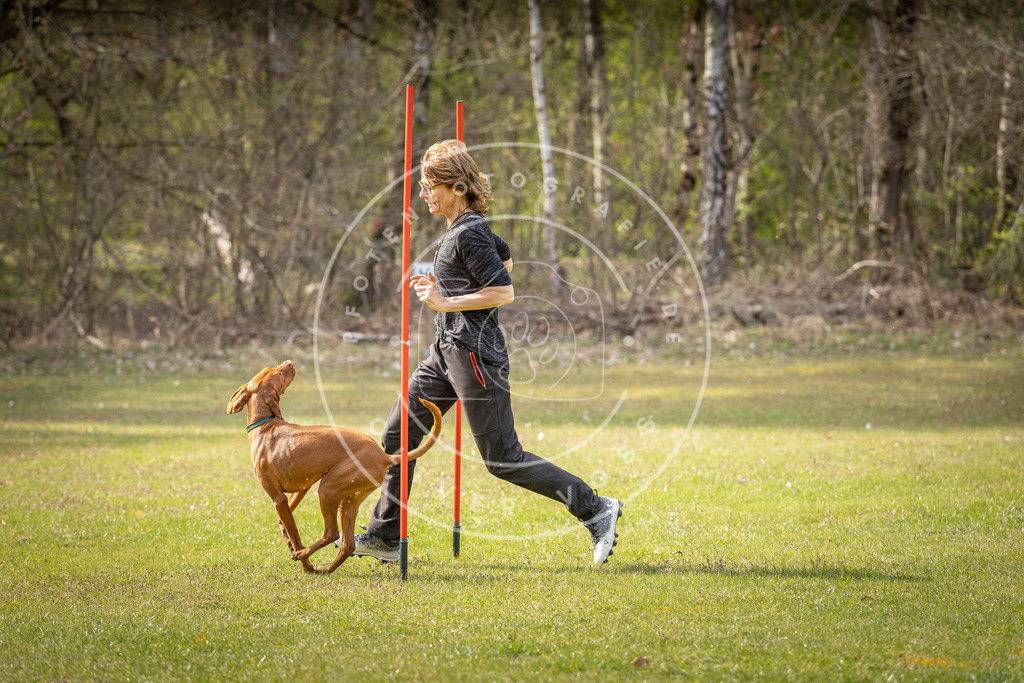 Pfotenfotografie_DV3A9649 | Hundefotografie, Tierfotograf, Pfotenfotografie, Fotoshooting Hund, Hunde Portrait, Hundesport, Hundeportraits, Heideshooting, Hunde, Sportfotograf, Hundefotograf, Turnierhundsport, THS,  - Realisiert mit Pictrs.com