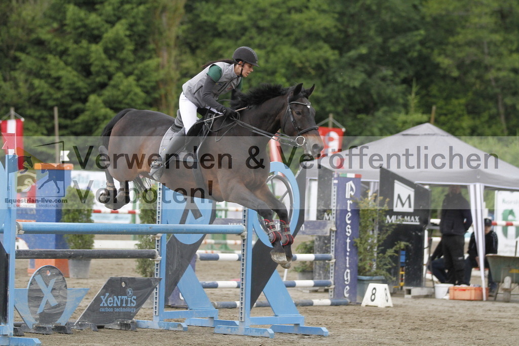 _MG_2302 | equestrian-live-com