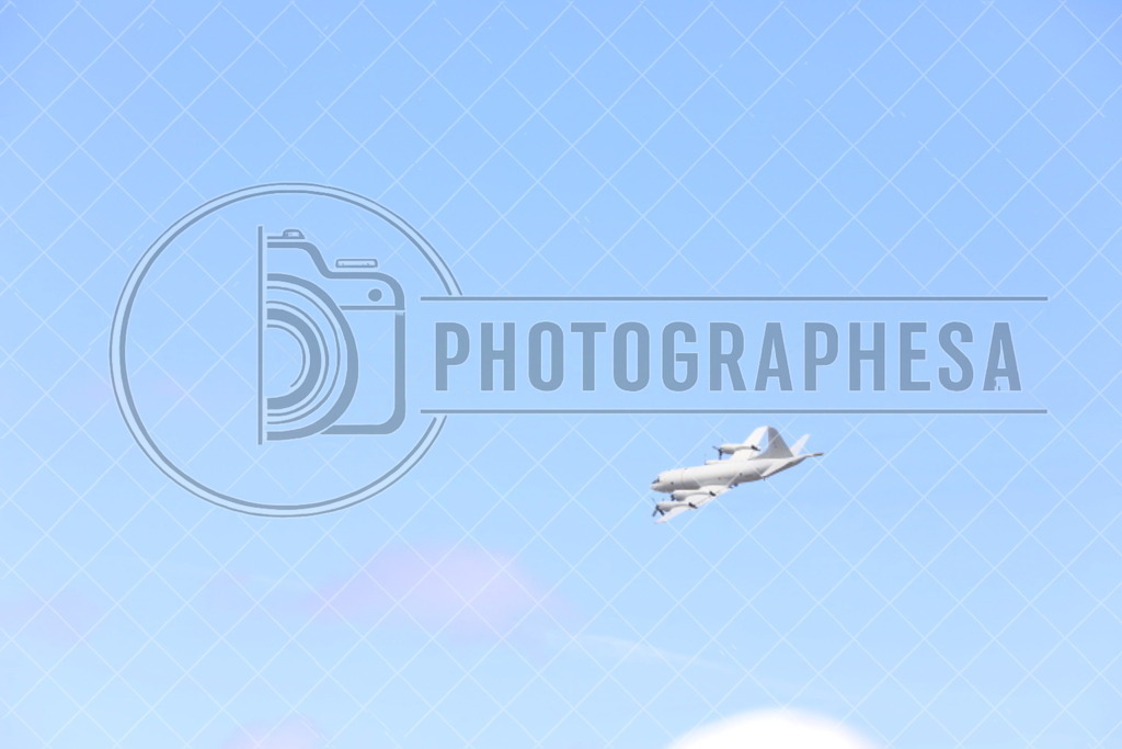IMG_8814 | photographesa-joergens - Realisiert mit Pictrs.com