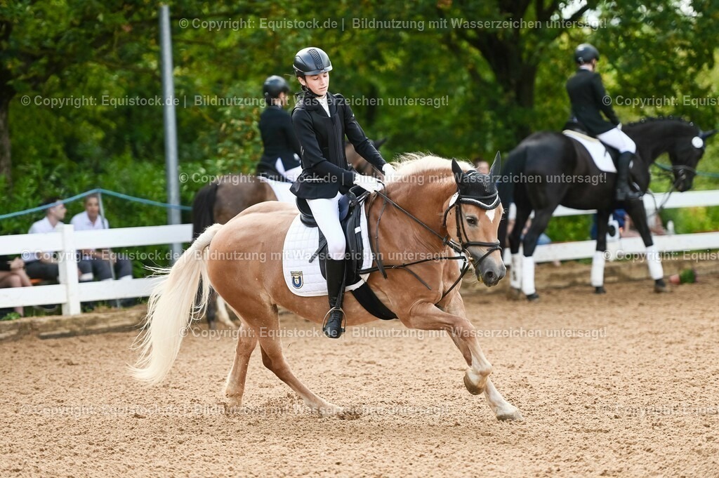 20230716_10-1_Reiter-WB Schritt - Trab - Galopp_0214 | equistock