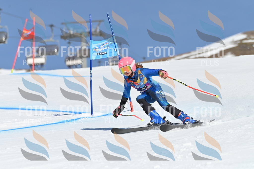 BGV_8227 | holidayphoto