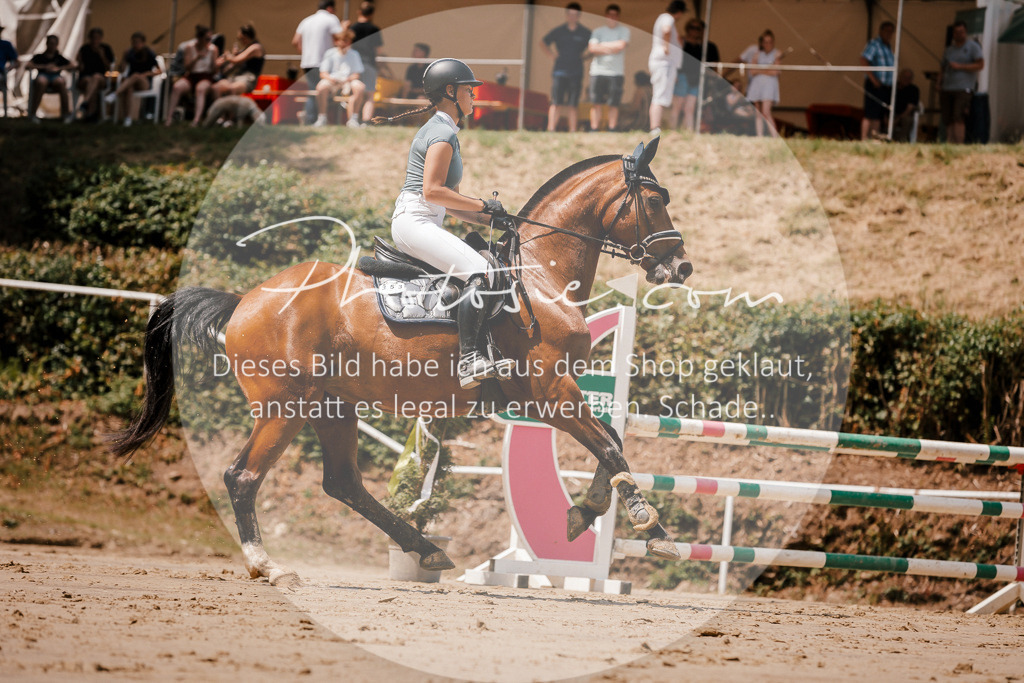 3I6A8008 | Stimmungsvolle Portraits und Reitsportfotografie im Ruhrgebiet und im Münsterland.

Pferdefotografie, Hundefotografie, Tierfotografie, Reportagen, Portraits von Tier und Mensch, Turnierfotografie in Bochum, Recklinghausen, Marl, Haltern am See, Dülmen.. - Realisiert mit Pictrs.com