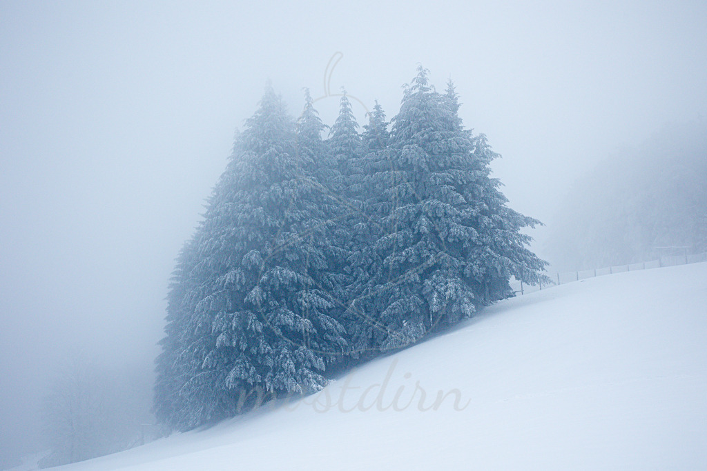 Frozen Mostviertel | Ihre Fotografin im Lungau, ihre Fotografin im Mostviertel, Wandbilder Onlineshop, Imagefotos für Ihr Unternehmen,  - Realisiert mit Pictrs.com