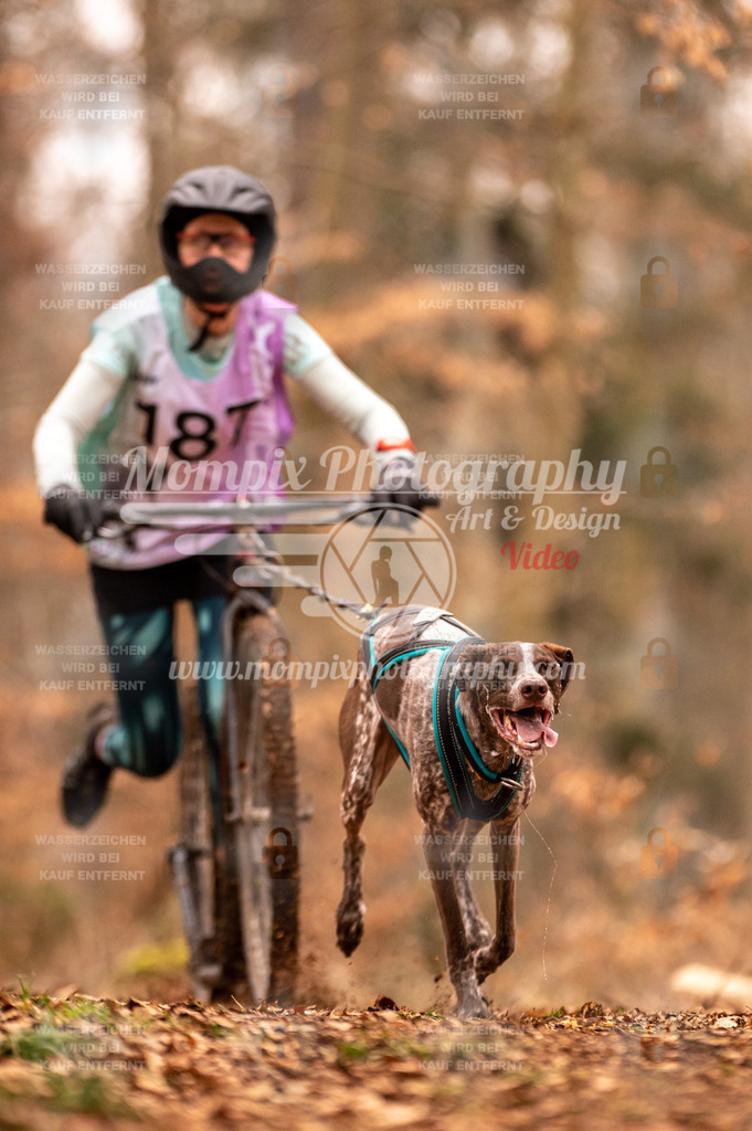 AKM_ST_2023_SAM_Scooter-62 | PayLife