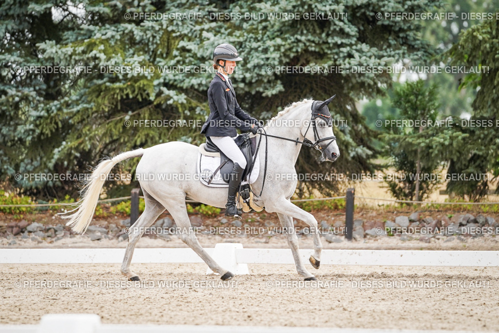 DSC02137 | Pferdegrafie