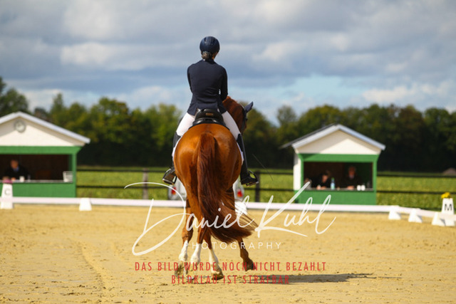 DKP44104 | Turniersportfotografie; Pferdefotografie; Dressurfotografie