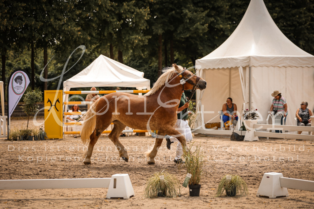 4.Sa00068 | Leoni Ertmer Photography - Realisiert mit Pictrs.com