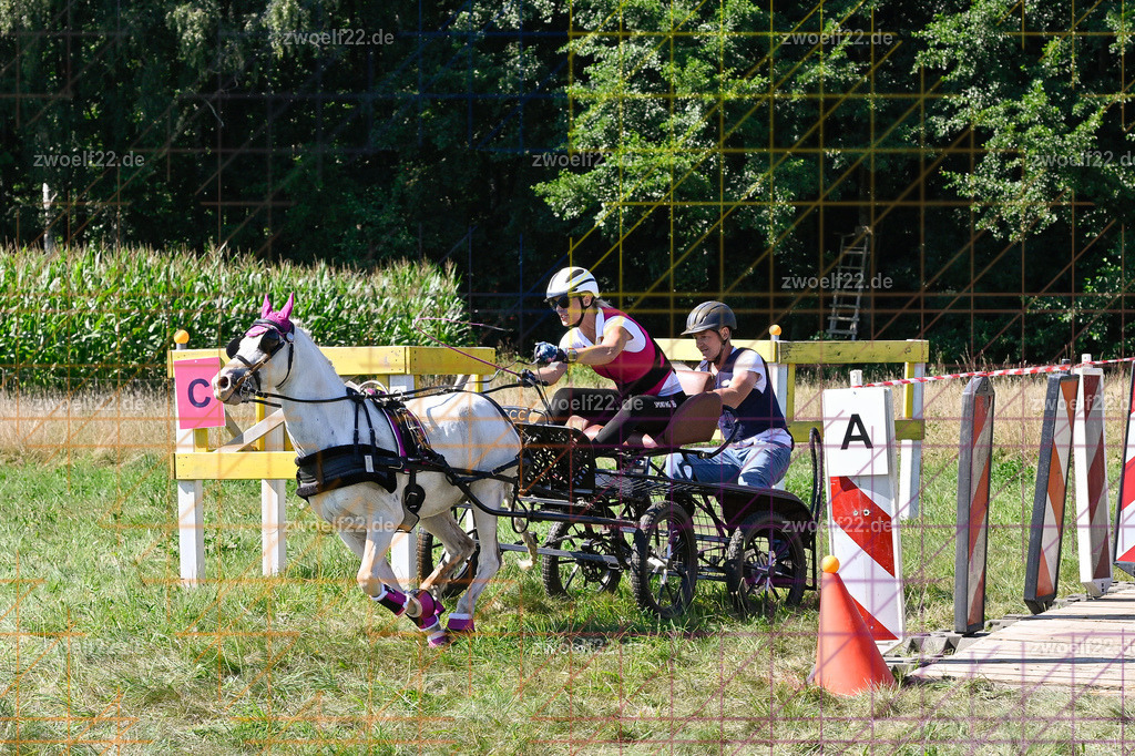 30 Jahre RFV Pulsnitz e.V., Pulsnitz am 09.08.2026 | 30Jahre Reit- und Fahrverein Pulsnitz e.V., Pulsnitz am 08.08.2026Zur 28. breitensportlichen Veranstaltung des RFV Pulsnitz e.V. fanden verschiedene Wettbewerbe in nahezu allen Disziplinen des Pferdesport statt.- Geländefahr-Wettbewerb - Realisiert mit Pictrs.com
