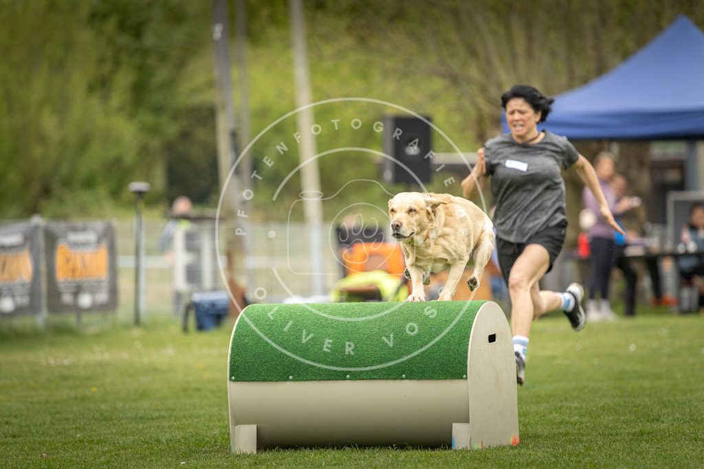 Pfotenfotografie_DV3A1122 | Hundefotografie, Tierfotograf, Pfotenfotografie, Fotoshooting Hund, Hunde Portrait, Hundesport, Hundeportraits, Heideshooting, Hunde, Sportfotograf, Hundefotograf, Turnierhundsport, THS,  - Realisiert mit Pictrs.com