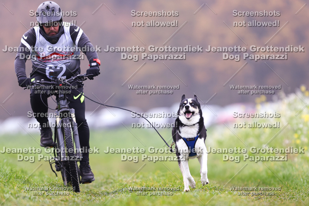 Dog Paparazzi - Visbeck 25 -240 | Dog Paparazzi Jeanette Grottendiek Fotografie & Videografie - Realisiert mit Pictrs.com