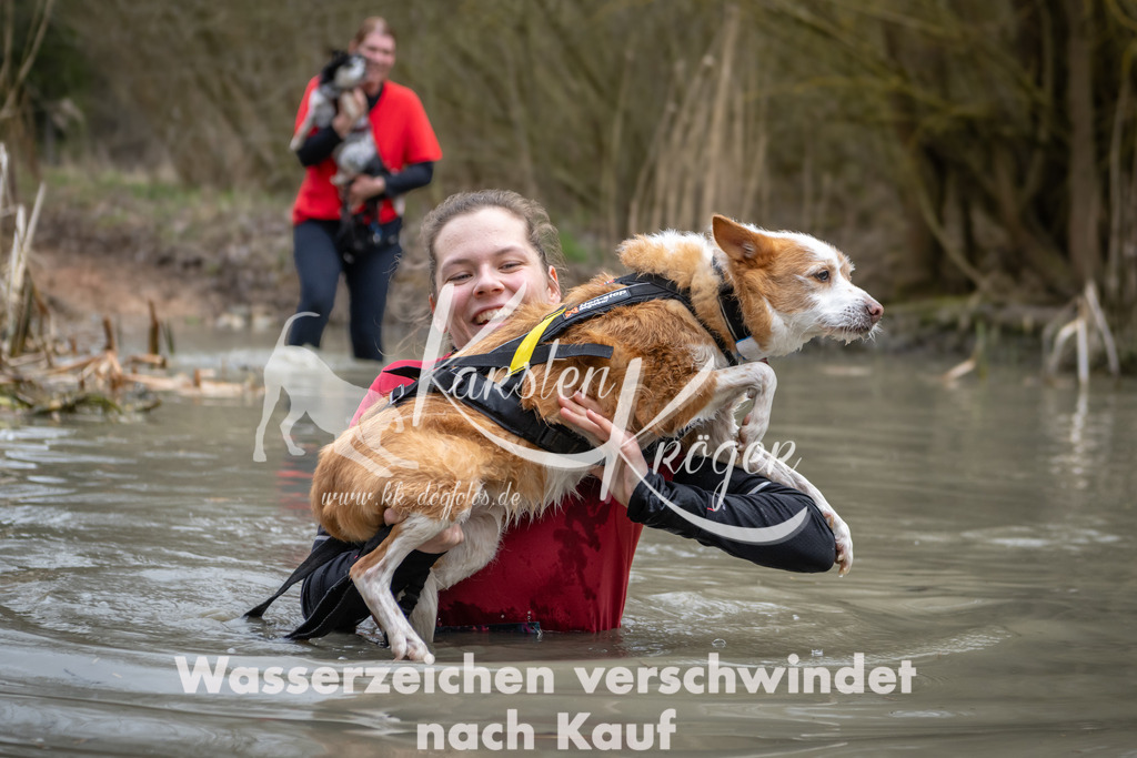 1415_ZZ97728 | kk-dogfotos